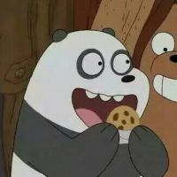 官方app下载whatapp网页版 电脑版whatapp网页版在哪里 宏的内容,点击确定后,没有投入使用宏的选项,怎么打开这个文件