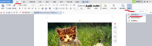 whatapp网页版 V7官方版 安卓whatsapp不能登陆电脑 wps2019图片大小统一设置