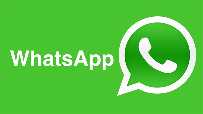 whatsapp网页版网页登陆 whatsapp网页版下载电脑最新版