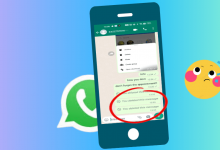 whatsapp网页版关闭已读回执 whatsapp网页版入口